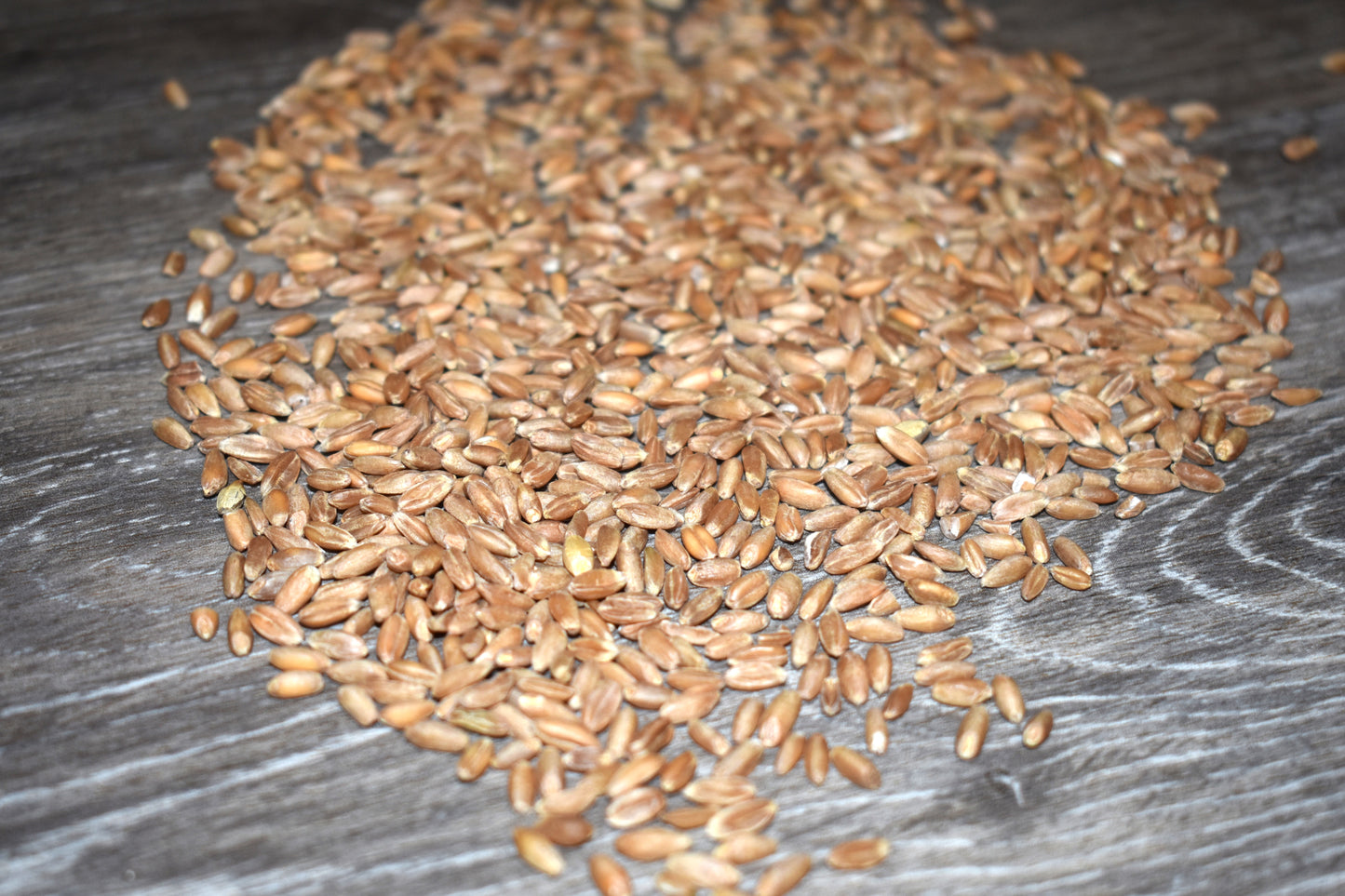 Organic Spelt Wheat Berries