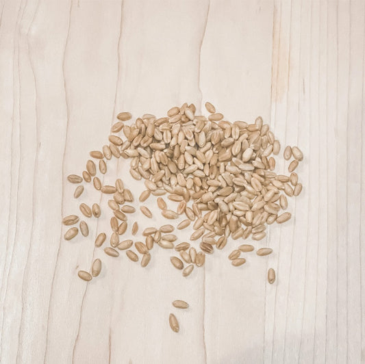 Hard White Wheat Berries-Locally Grown