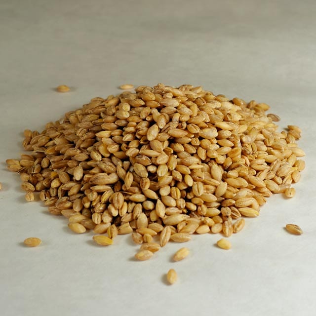 Organic Hulled Barley Berries