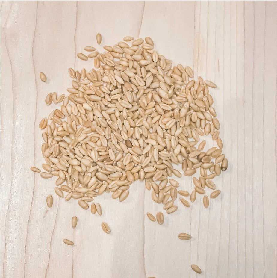 Organic Soft White Wheat Berries